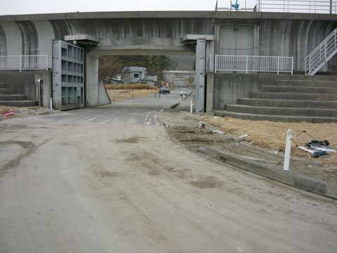 洋野町海浜公園の道路