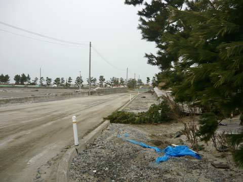 洋野町海浜公園の道路