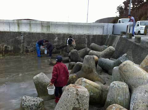 種市海岸