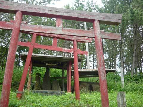 洋野町の御台場