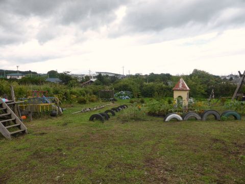 2015-7-31-1.jpg