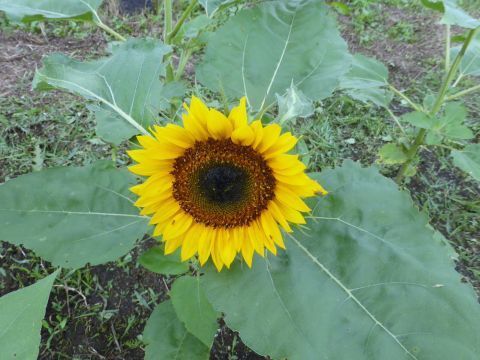 2015-7-31-12.jpg