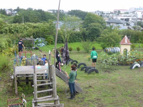 2015-7-31-6.jpg