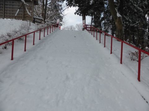 2016-1-25-2.jpg