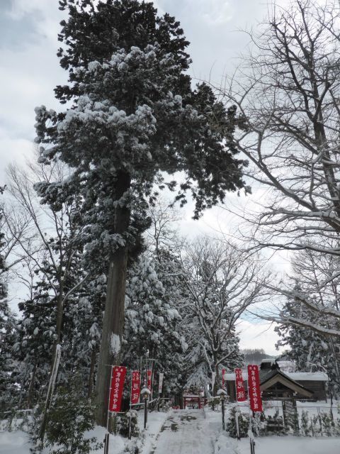 2016-1-25-8.jpg