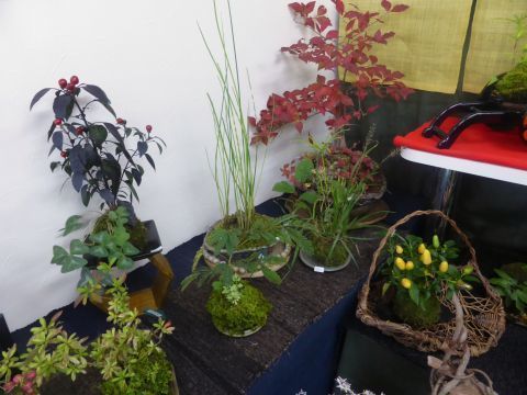 2016-10-8-5.jpg