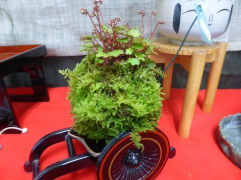 2016-10-8-9.jpg