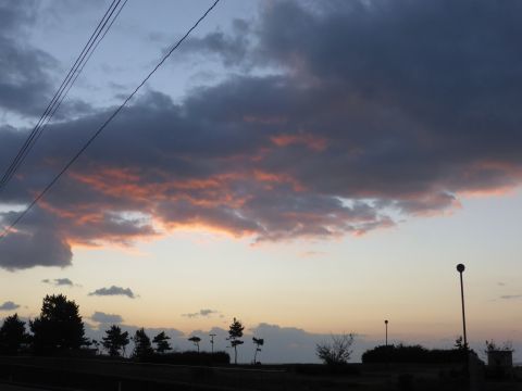 2016-11-1-4.jpg