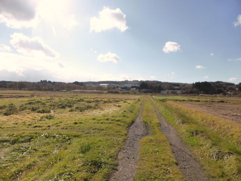 2016-11-14-1.jpg