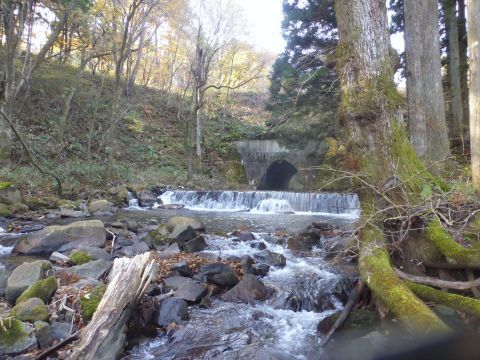 2016-11-18-5.jpg