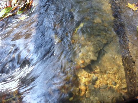2016-11-18-8.jpg