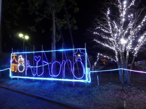 2016-11-28-9.jpg