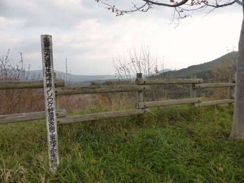 2016-11-7-8.jpg