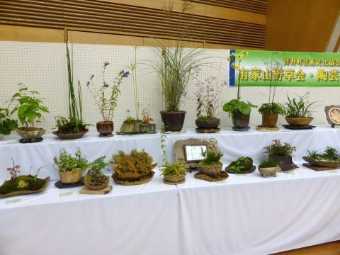 2016-11-9-8.jpg