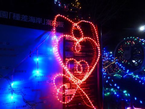 2016-12-1-5.jpg