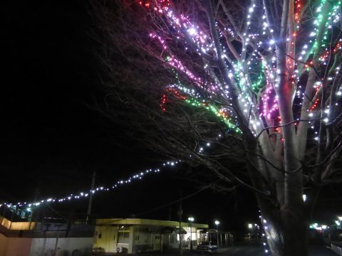 2016-12-11-8.jpg