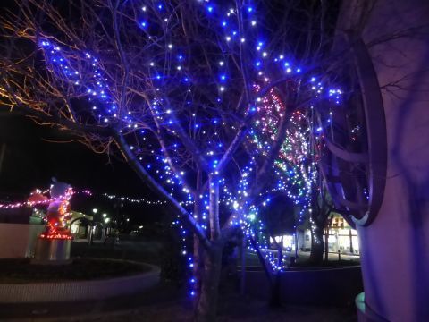 2016-12-11-9.jpg