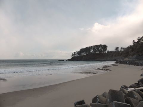 2016-12-12-1.jpg