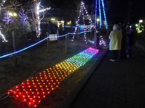 2016-12-12-10.jpg