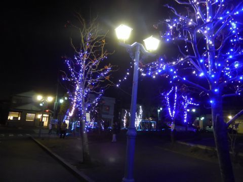 2016-12-12-7.jpg