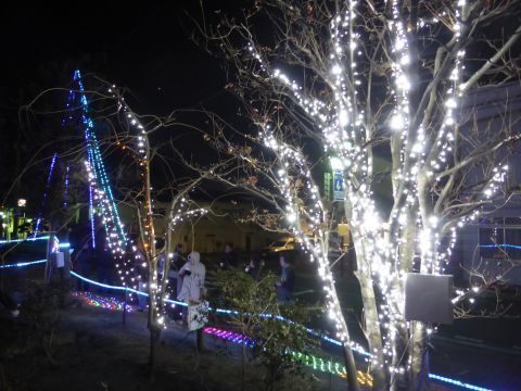 2016-12-12-8.jpg