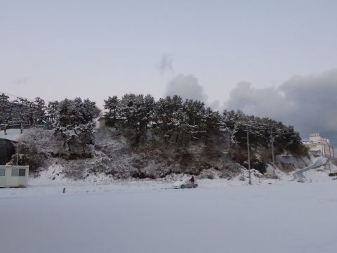 2016-12-29-8.jpg