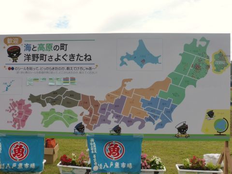 2016-12-31-15.jpg