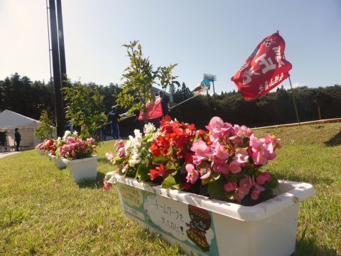 2016-12-31-20.jpg