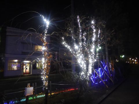 2016-12-5-12.jpg