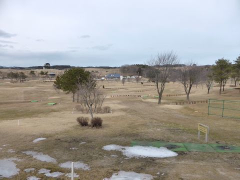 2016-3-15-3.jpg