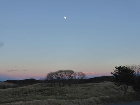 2016-3-27-8.jpg