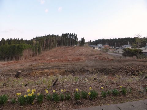 2016-4-22-10.jpg