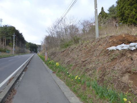 2016-4-22-13.jpg