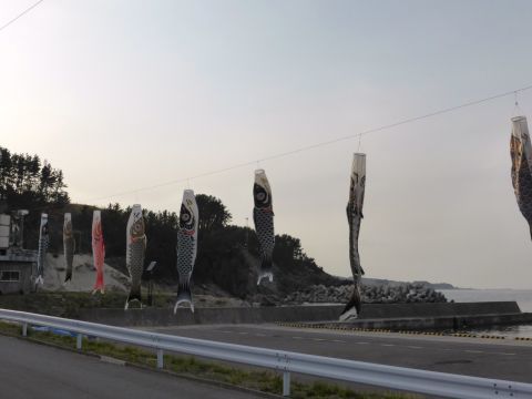 2016-4-27-9.jpg