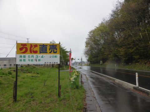 2016-4-29-10.jpg