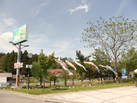 2016-4-30-9.jpg