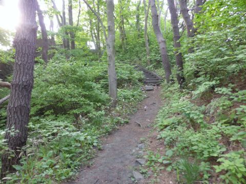 2016-5-26-2.jpg
