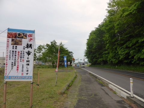 2016-5-27-1.jpg