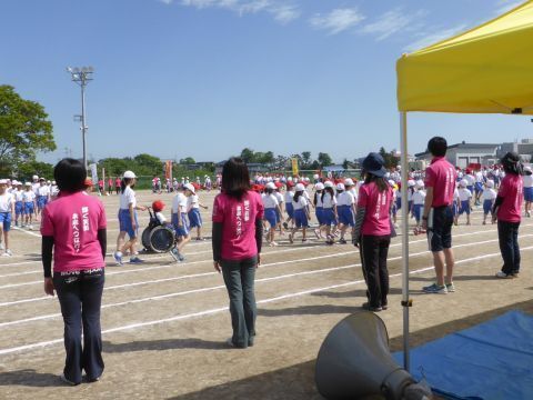2016-5-31-3.jpg