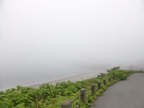2016-7-2-1.jpg