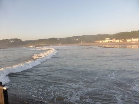 2016-8-13-8.jpg