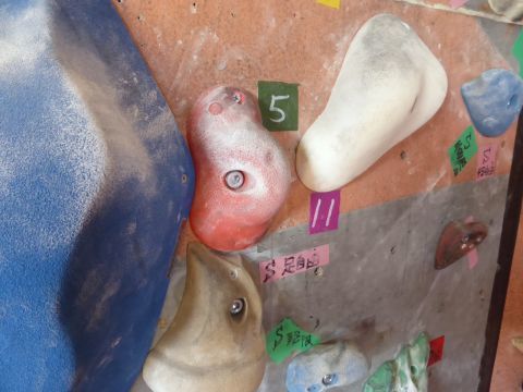 2016-8-25-4.jpg