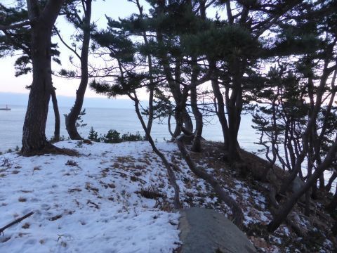 2017-1-1-4.jpg