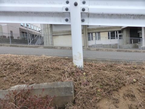 2017-1-15-1.jpg