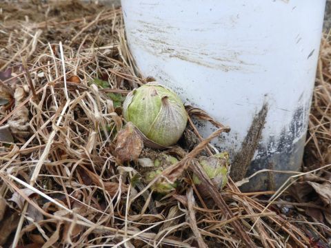 2017-1-15-2.jpg