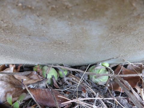 2017-1-15-4.jpg