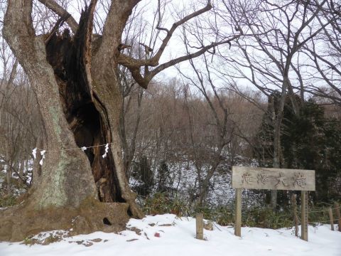 2017-1-16-3.jpg