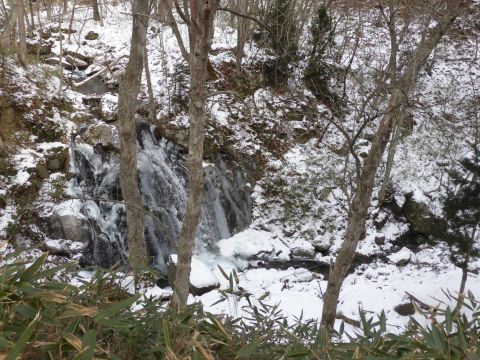 2017-1-16-6.jpg