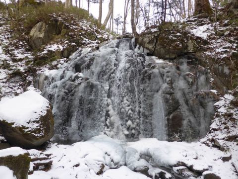 2017-1-17-2.jpg