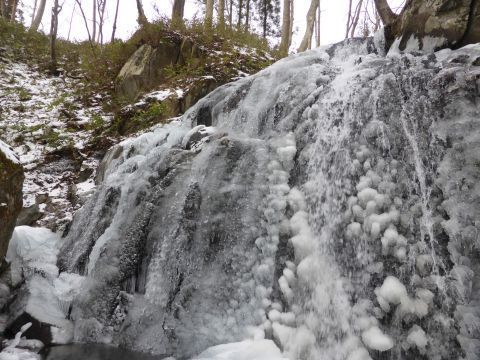 2017-1-17-3.jpg